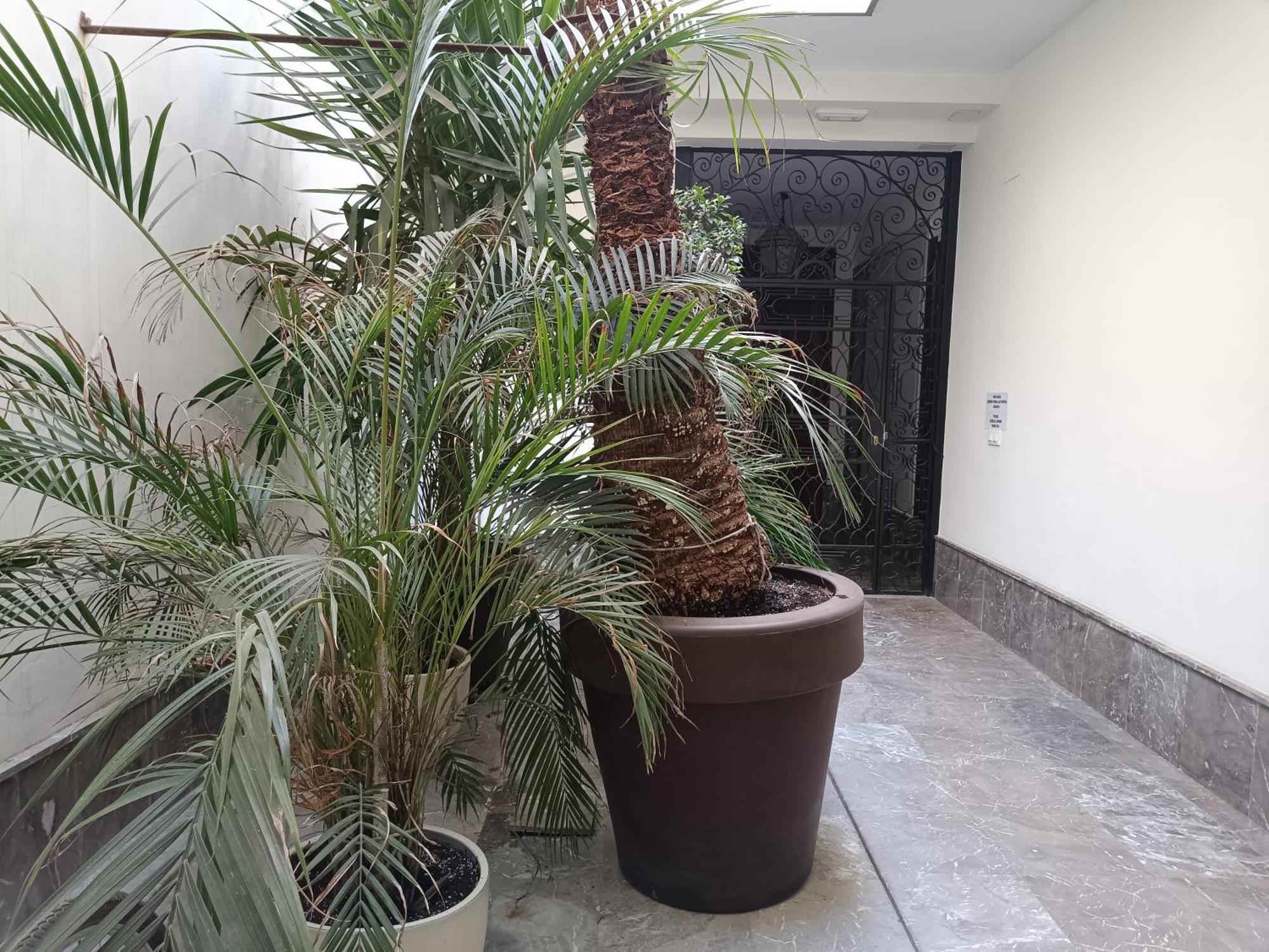 Apartamentos Luxury Puente De Triana Σεβίλλη Εξωτερικό φωτογραφία